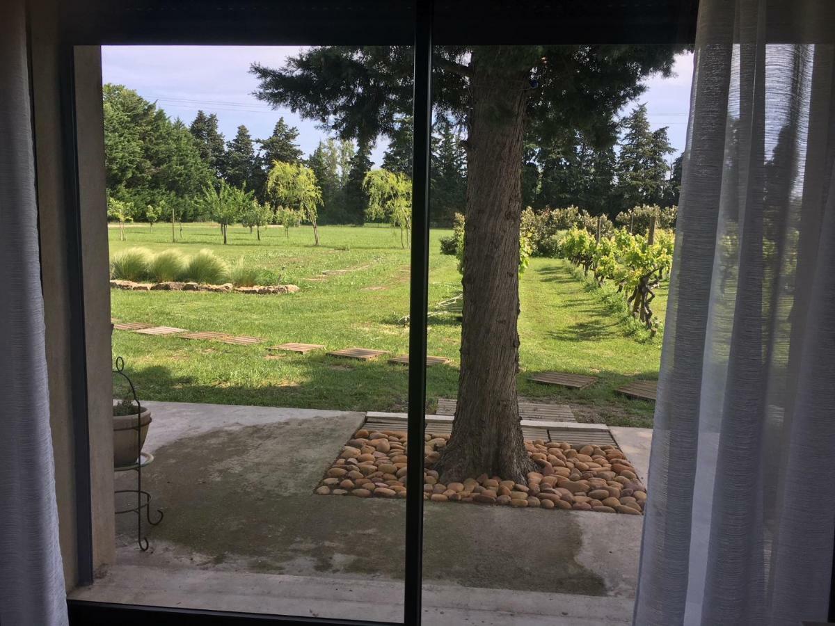 Safraniere Des Sorgues Guest House Le Thor Eksteriør bilde